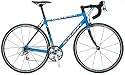 Schwinn Fastback Comp Adult Road Bike