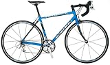 Schwinn Fastback Comp Adult Road Bike