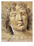 Study of a Man with Long, Curly Hair Giclee Poster Print by Lorenzo di Credi, 42x56 51iCtD2cF9L. SL160 Study of a Man with Long, Curly Hair Giclee Poster Print by Lorenzo di Credi, 42x56