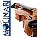 Molinari 201-4 Quality 4/4 Size Student Violin Outfit