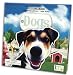 Groovy Tube Books: Dogs