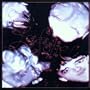 Folie (Dig)