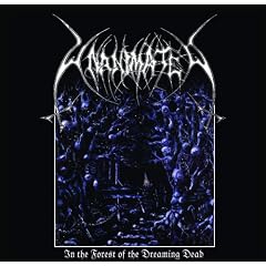 In the Forest of the Dreaming Dead