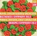 Symphony 2 (Hybr)