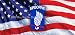 Window Graphic - 30x65 173rd Airborne Brigade