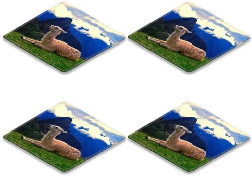 Machu Picchu Llama Camel Prairie Square Coaster (4 Piece) Set Fabric Rubber 5 Inch Size Luxlady Coaster Cup Mug Can Water Bottle Drink Coasters Stain Resistance Collector Kit Kitchen Table Top Desk