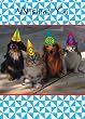 BIRTHDAY W/ ANIMALS W/ PARTY HATS