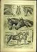1892 Newmarket Heath Habitues Horses Stables Sturgess