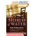The Heiress of Water: A Novel