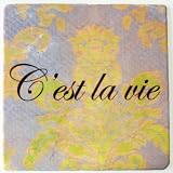 Cest La Vie 6 Ready to Hang Trivet 51iDZPtLzaL. SL160 Cest La Vie 6 Ready to Hang Trivet