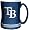 Tampa Bay Rays