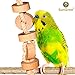 SunGrow Wooden Bird Chew Toy (1 pc) - Hanging Wood Cookies for Pecking and Chewing - Natural Pithy Wood Blocks and Safe Cotton Rope - Great for Parrots, Macaws, African Greys and Conures