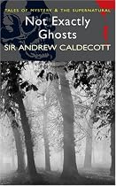 Not Exactly Ghosts/Fires Burn Blue (Wordsworth Mystery & Supernatural): AND Fires Burn Blue (Tales of Mystery & the Supernatural)