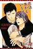 恋は愚かというけれど (新書館ディアプラス文庫)
