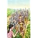 Children's historical novels / fiction about Roman Empire