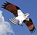 Osprey Jackites Tyvek Bird