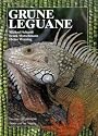 Gr&uuml;ne Leguane