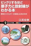 ビックリするほど原子力と放射線がわかる本　驚異のエネルギーの基礎と応用の科学 (サイエンス・アイ新書)