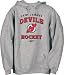 New Jersey Devils Stacked Logo Hooded Fleece Sweatshirt