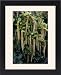 Framed Prints of DAD-1811 Holly Leaf Sweetspire - an evergreen bushy shrub. The long catkin-like from Ardea Wildlife Pets