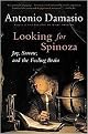 Looking for Spinoza (Joy, Sorrow, and the Feeling Brain) (Reprint) (Paperback)