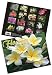 Flowers of Hawai'i Trade Calendar 2010
