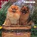   - Pomeranian 2009 Wall Calendar 12
