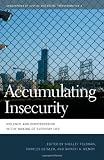 Accumulating insecurity : violence and dispossession in the making of everyday life