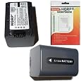 HQRP Battery Charger and Battery for SONY HDR XR200VE HDR XR500 HDR XR500E HDR XR500V HDR XR500VE HDR XR520 Camcorder plus Euro Plug Adapter