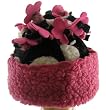 Corky and Company Black Polka Daisy Flower Top Hat