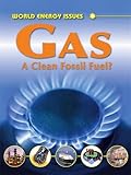 Gas : the clean fossil fuel?