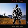 Delicate Sound Of Thunder