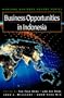 Business Opportunities in Indonesia