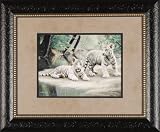 White Tiger Cubs Charles Frace' 23x19 Gallery Quality Framed Print Jungle African Animal Painting