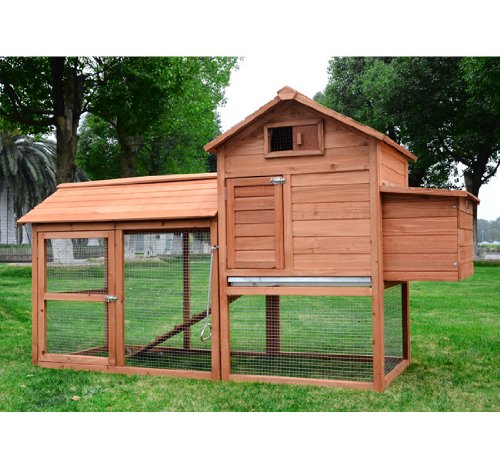Backyard Chicken Coops