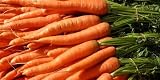 Carrots Dehydrated Dried Survival Food - Giant #10 Can