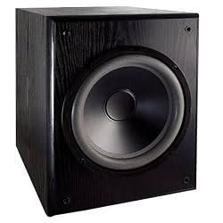 Dual Electronics L12SW Home Subwoofer