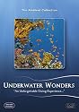 Underwater Wonders