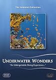 Underwater Wonders
