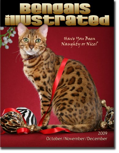 image link -  - 0979280737