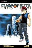 Flame of Recca: Volume 29 (Flame of Recca)