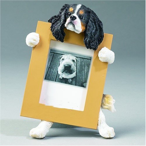 King Charles Cavalier Tri-color Dog Picture Frame 2 1/2" X 3 1/2" Picture
