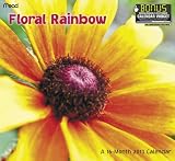 2013 Floral Rainbow Wall  Calendar