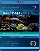 Stream Marine Aquarium Movie Online.