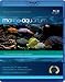 Marine Aquarium (Special Collectors Edition) [Blu-ray]