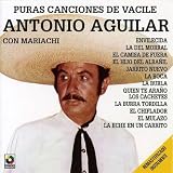 Canciones De Vacile