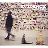 Cats & Dogs