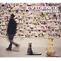 Cats & Dogs ~ Evidence