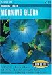 Morning Glory Heavenly Blue Seeds 55 Seeds
