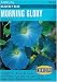 Morning Glory Heavenly Blue Seeds 55 Seeds